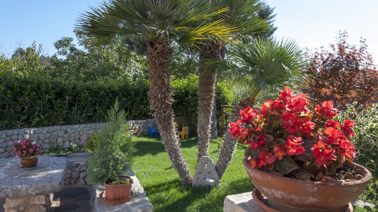 Photo of Outdoor in L'Assunta