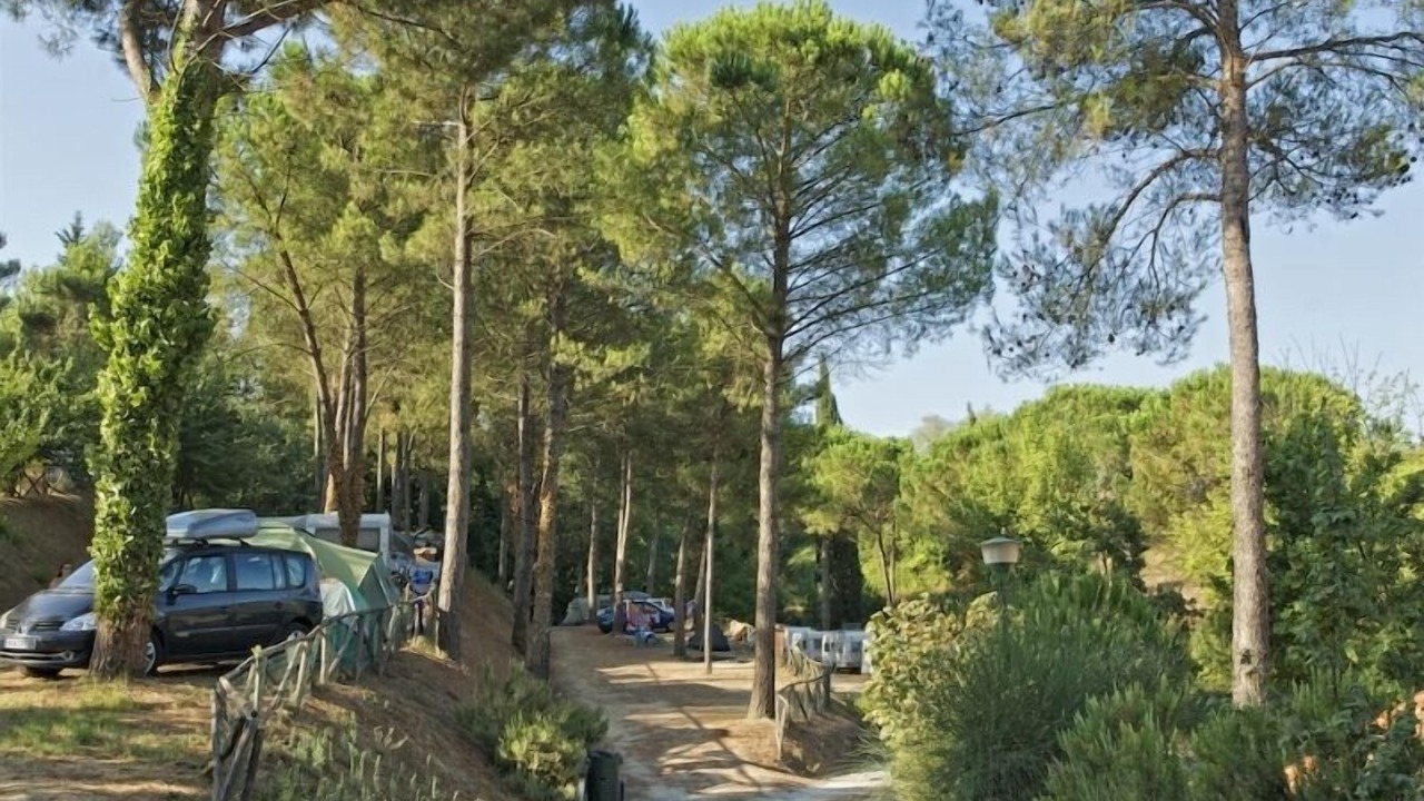 Photo of Outdoor in Montopoli in Val d'Arno