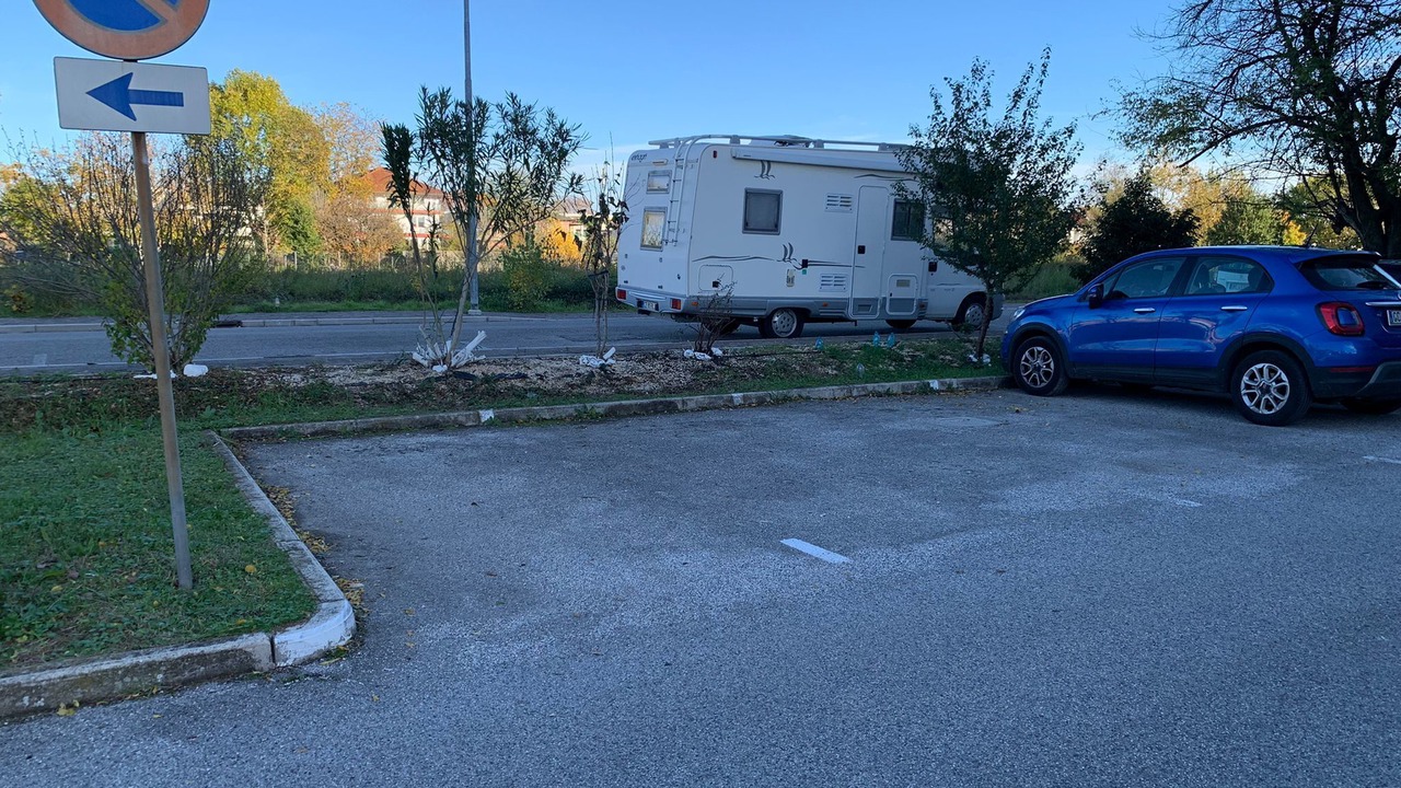 Photo of Outdoor in Cussignacco