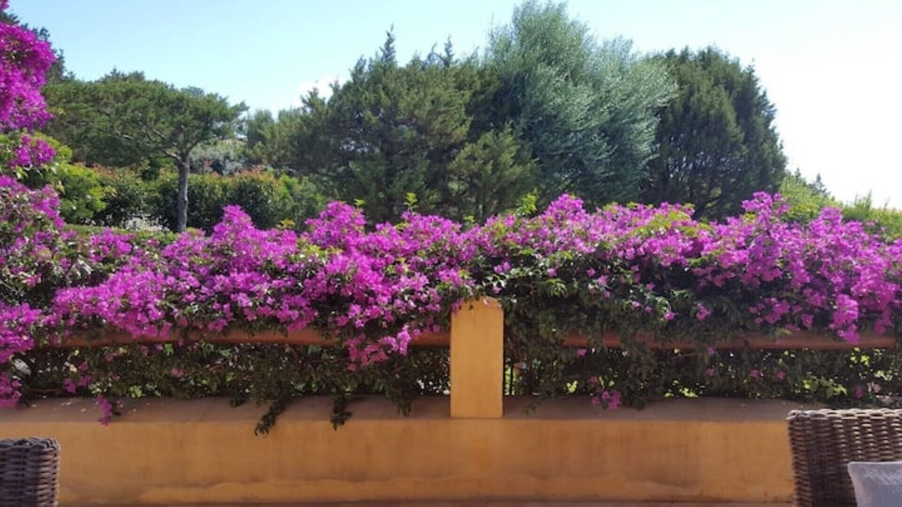 Photo of Outdoor in Tiriddo