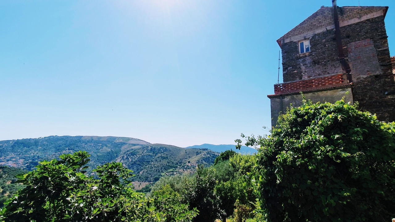 Photo of Others in Montecorice