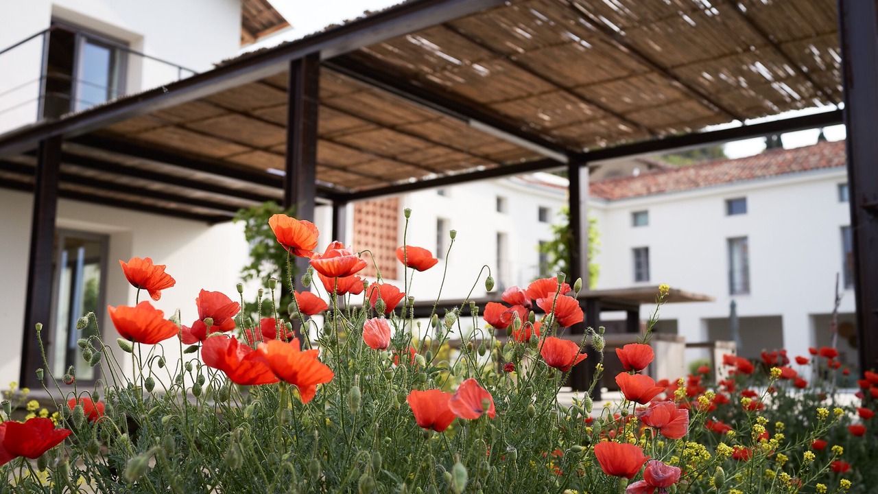 Photo of Outdoor in Castelnuovo Calcea