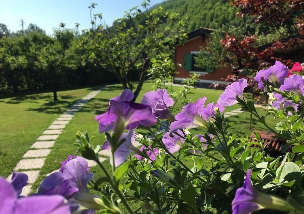 Photo of Outdoor in Gallicano