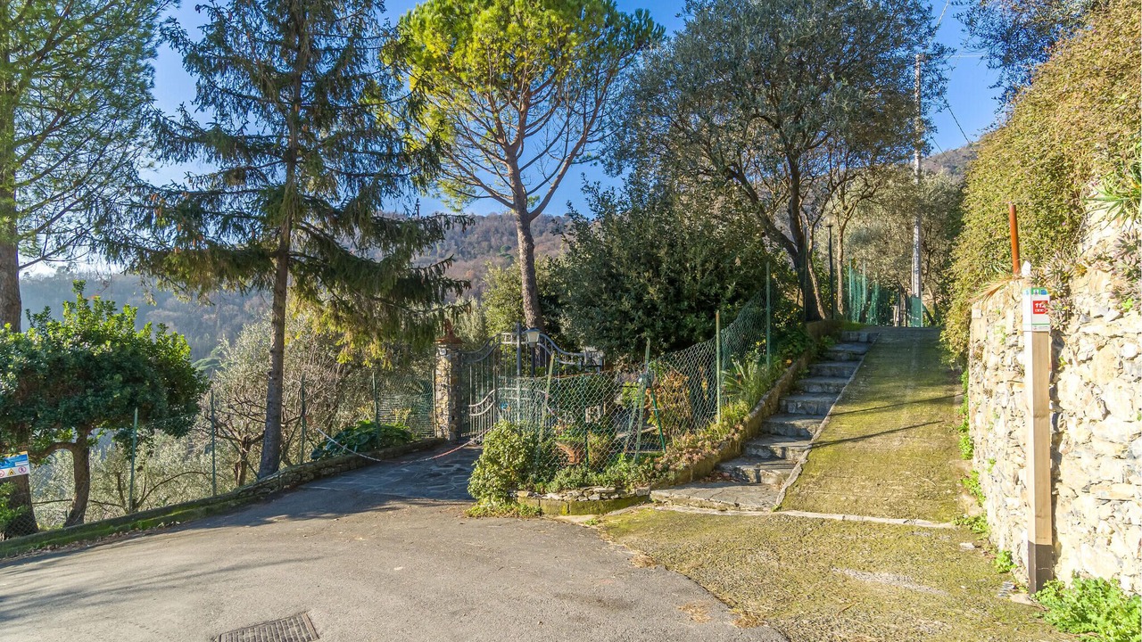 Photo of Others in Recco
