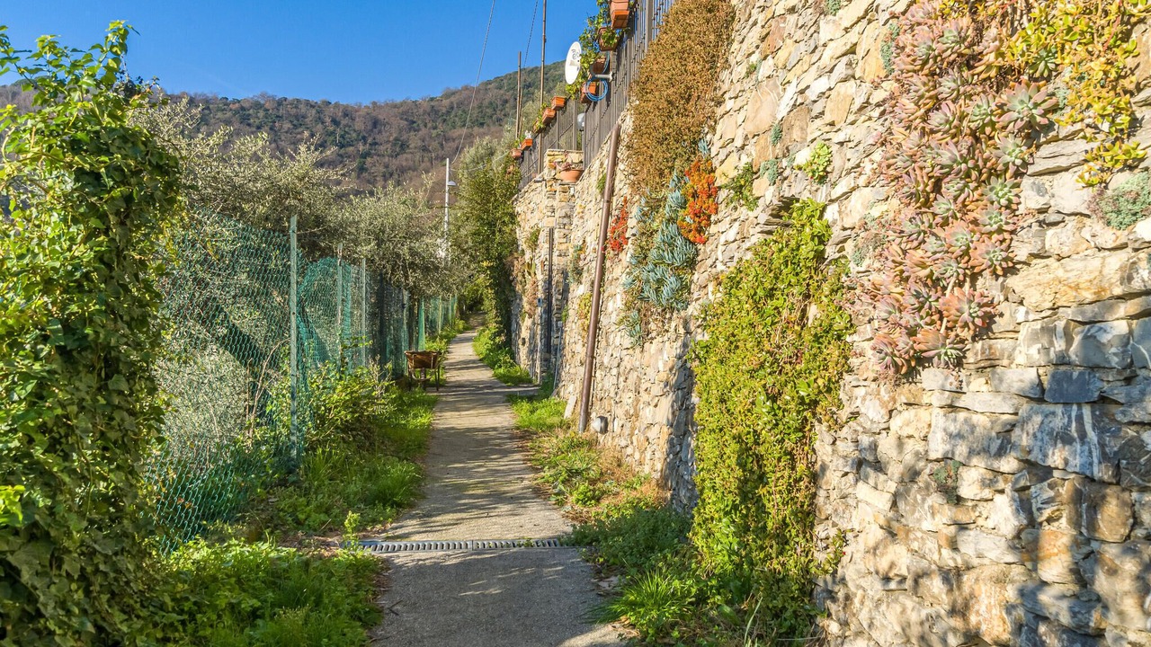 Photo of Others in Recco
