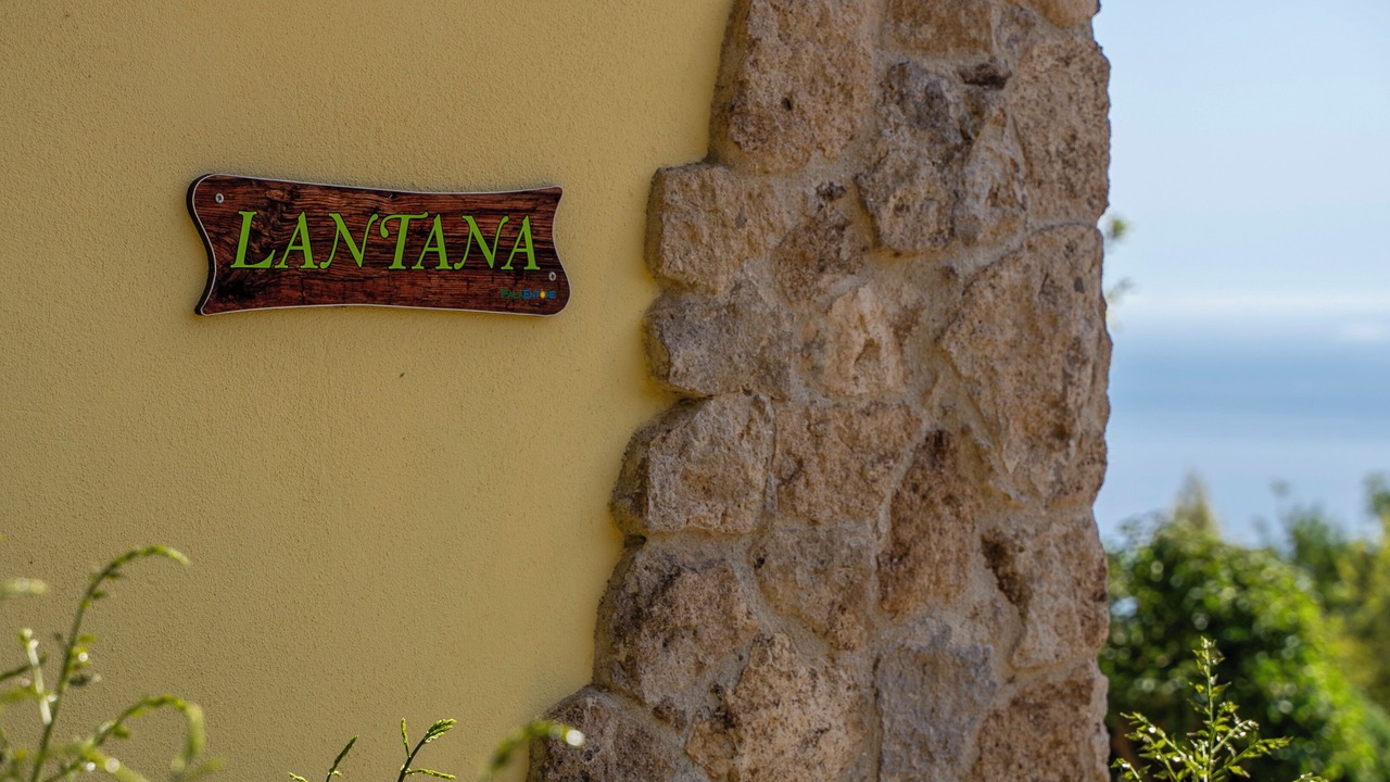 Photo of Others in Villanova Monteleone