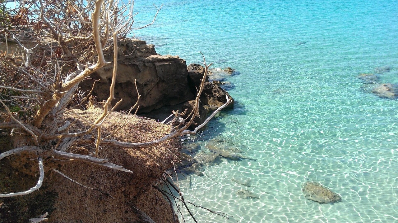 Photo of Others in Alghero