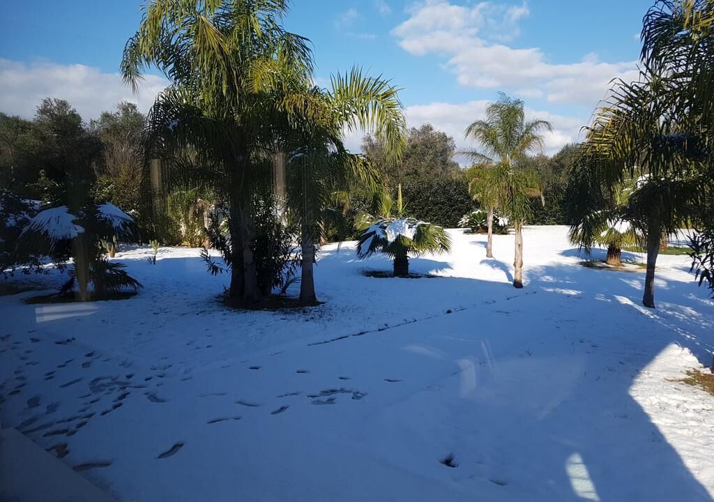 Photo of Outdoor in Mesagne