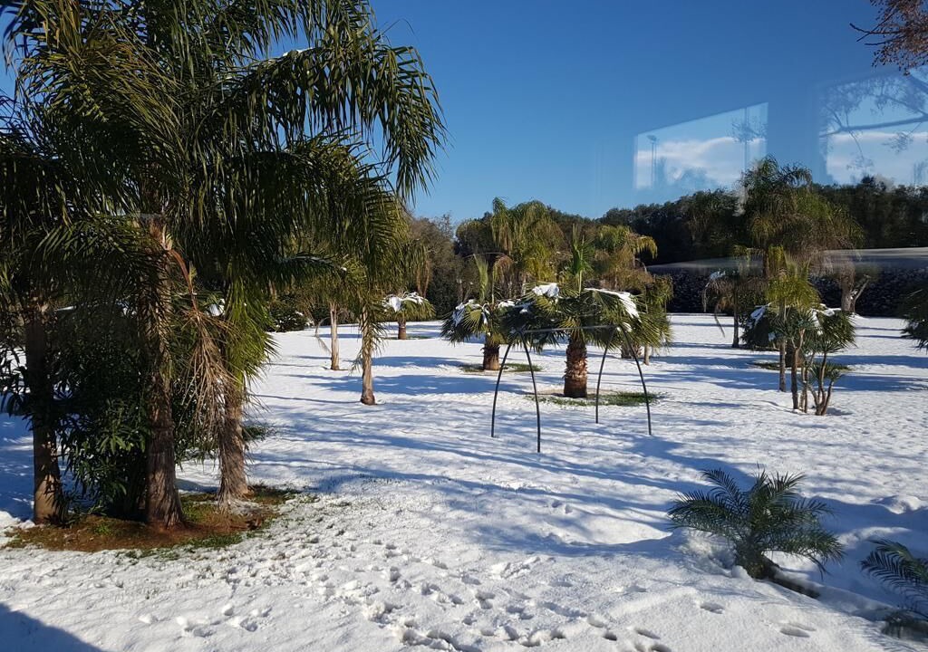 Photo of Outdoor in Mesagne