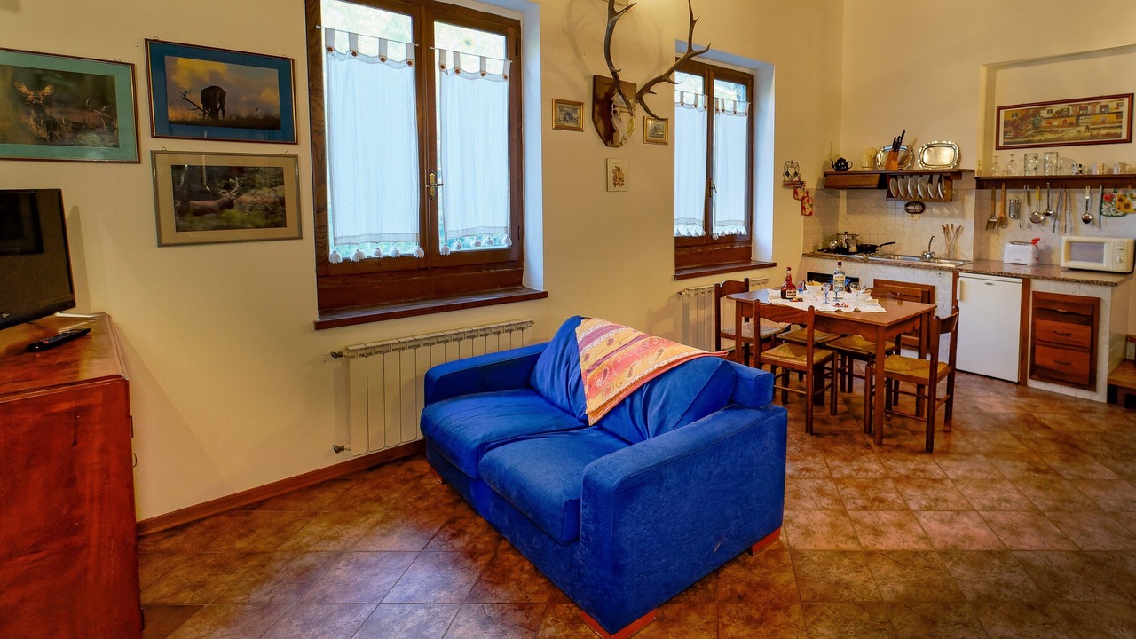 Photo of Livingroom in Mologno