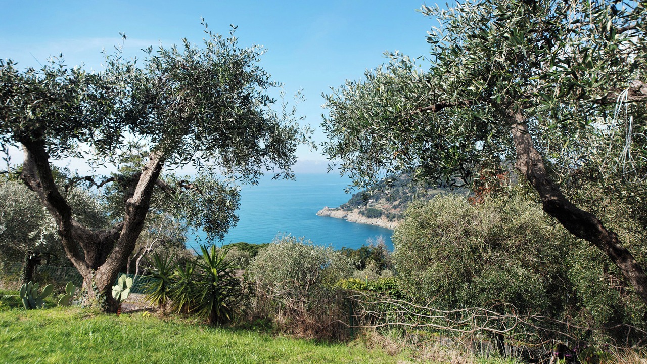 Photo of Others in Bonassola