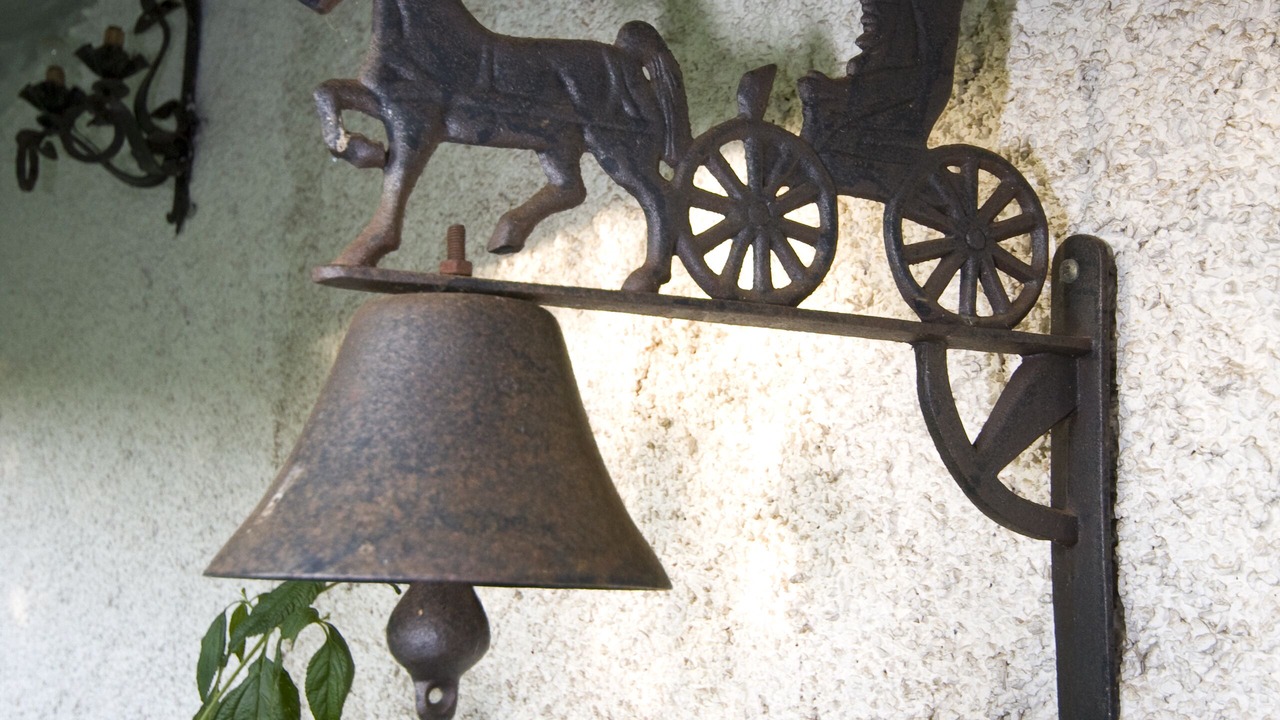 Photo of Outdoor in Massarosa