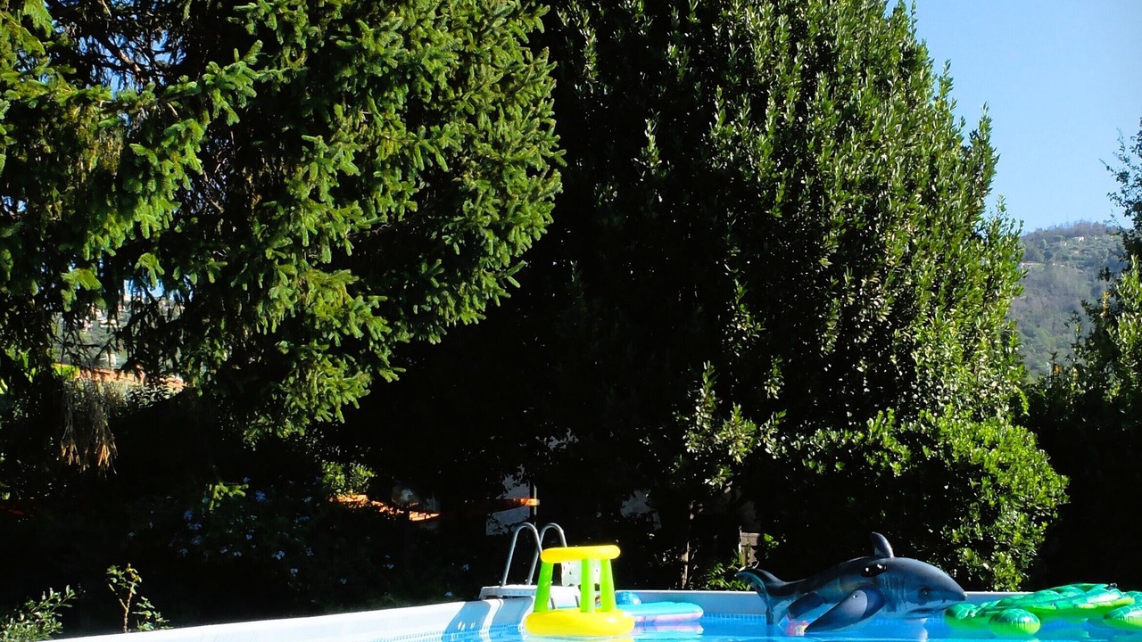 Photo of Outdoor in Massarosa