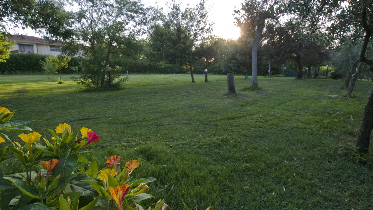 Photo of Outdoor in Massarosa