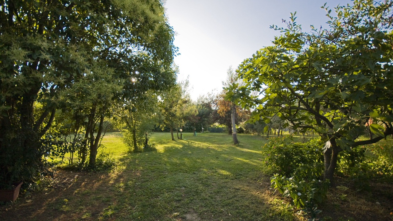 Photo of Outdoor in Massarosa
