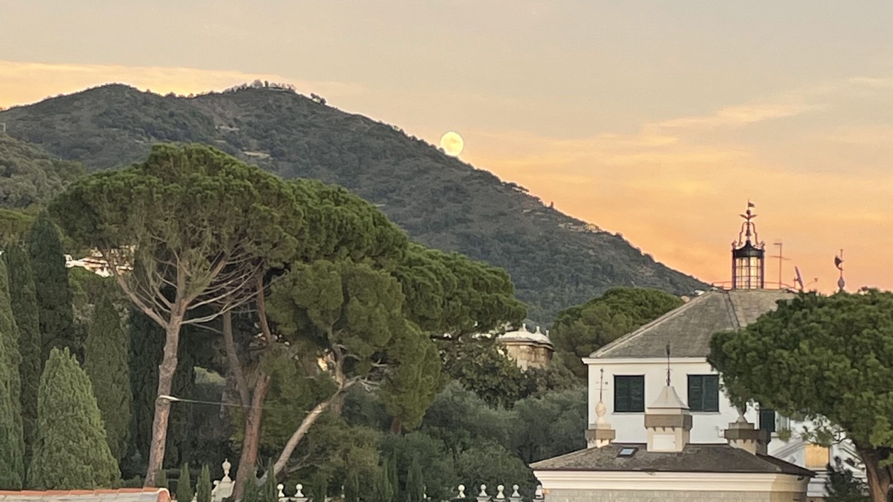 Photo of Outdoor in Nervi