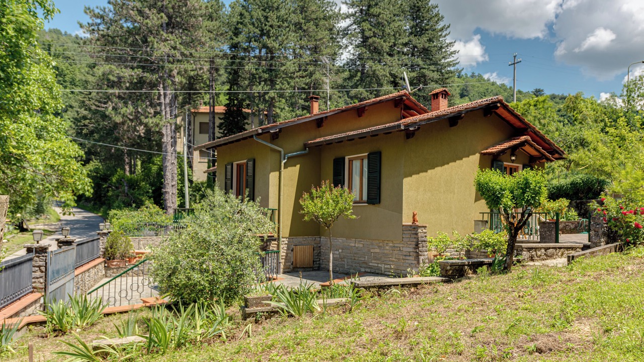 Photo of Outdoor in Rufina
