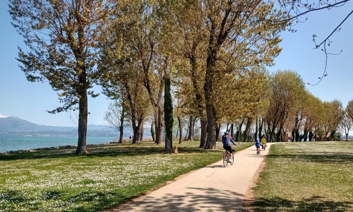 Photo of Others in San Benedetto di Lugana