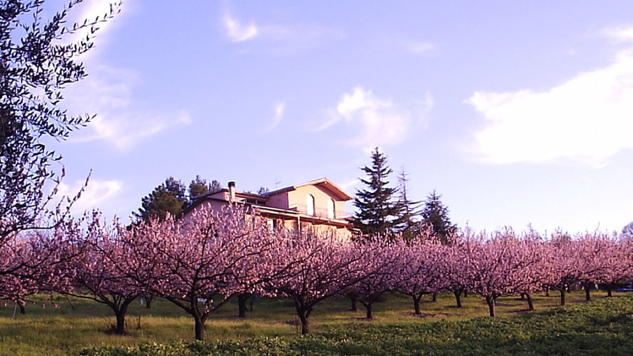 Photo of Outdoor in Morrona