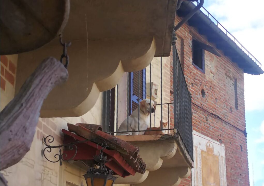 Photo of Outdoor in Castelletto d'Orba