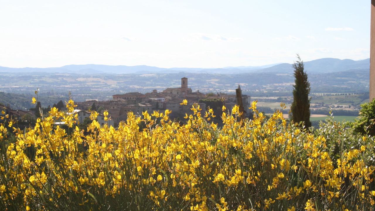Photo of Others in Bettona
