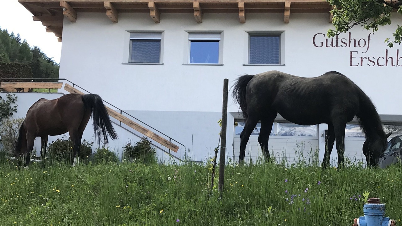 Photo of Outdoor in San Lorenzo di Sebato