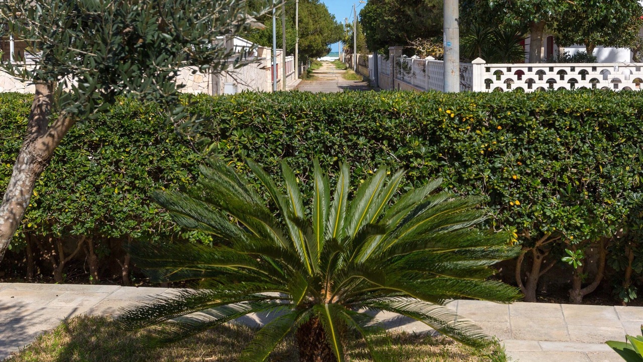 Photo of Outdoor in Torre Rinalda