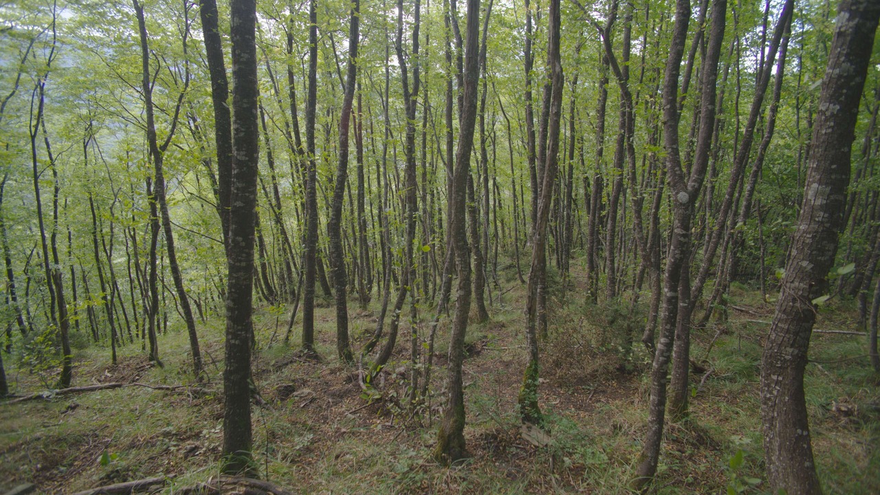 Photo of Outdoor in Acquasanta Terme