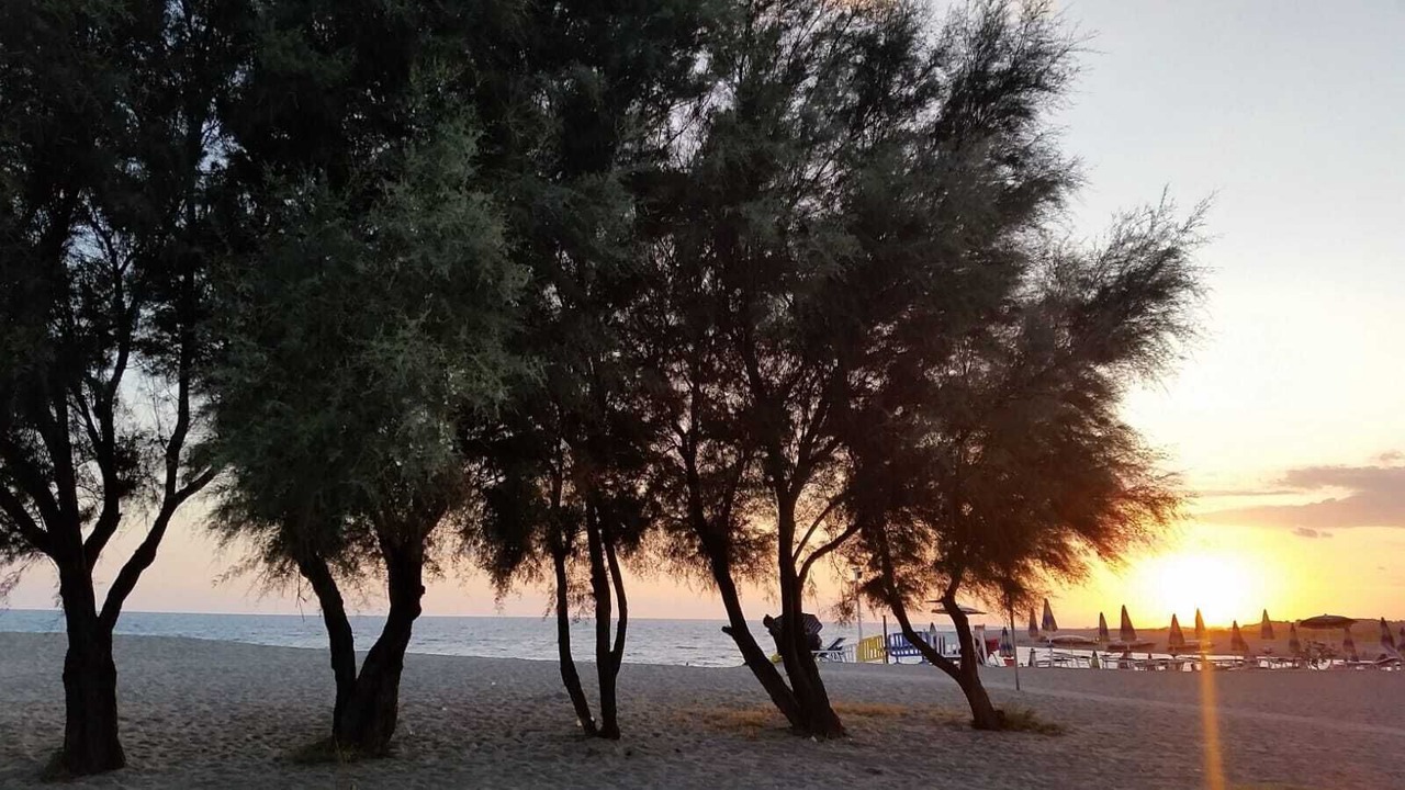 Photo of Others in Gizzeria Lido