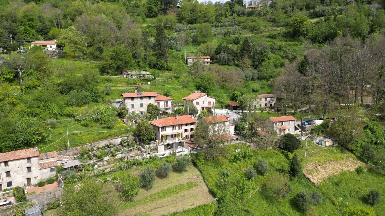 Photo of Outdoor in Stazzema