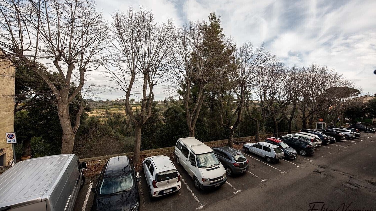 Photo of Outdoor in Palaia