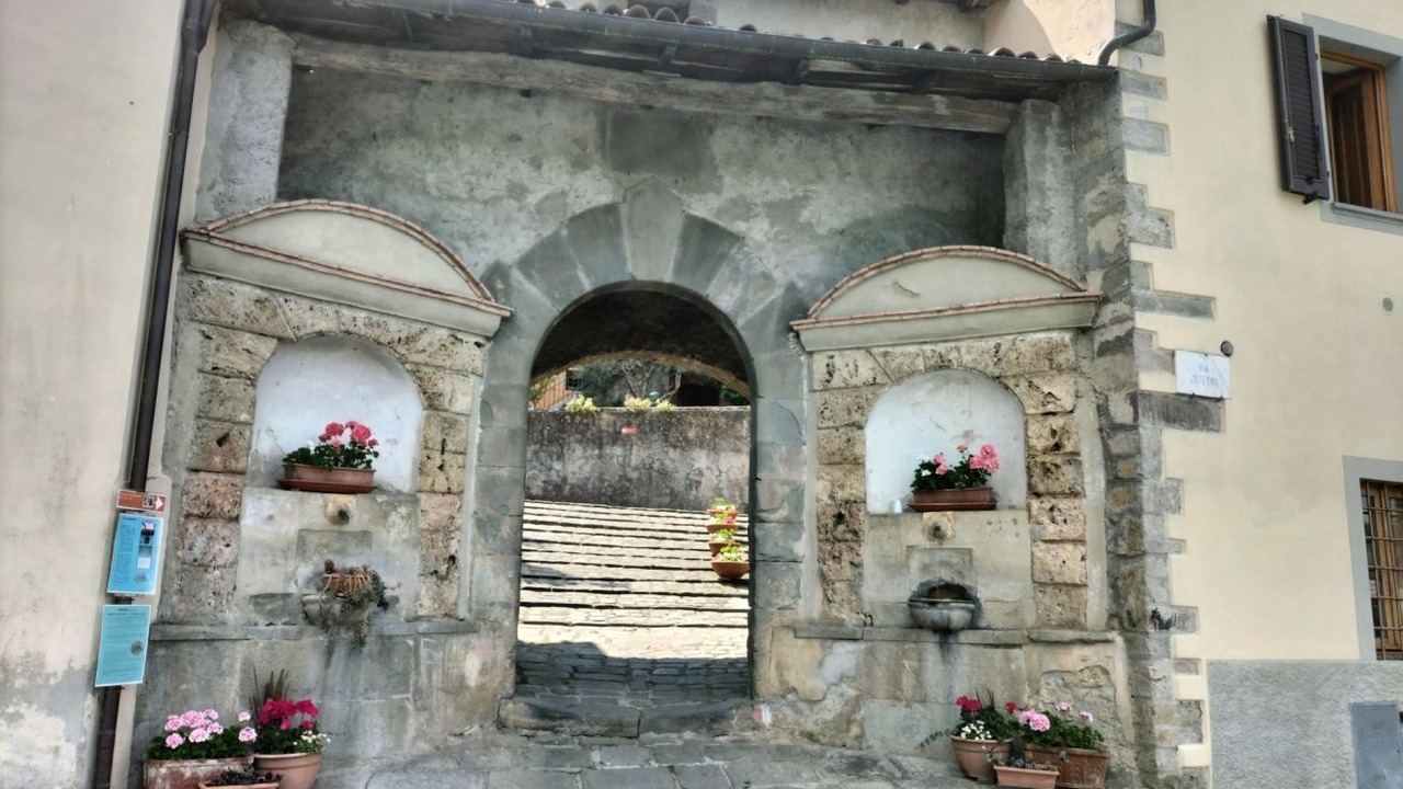 Photo of Outdoor in Gallicano