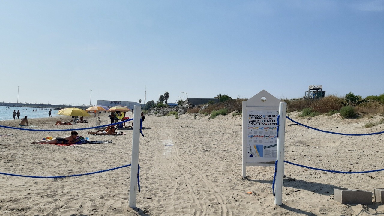 Photo of Others in Grottammare
