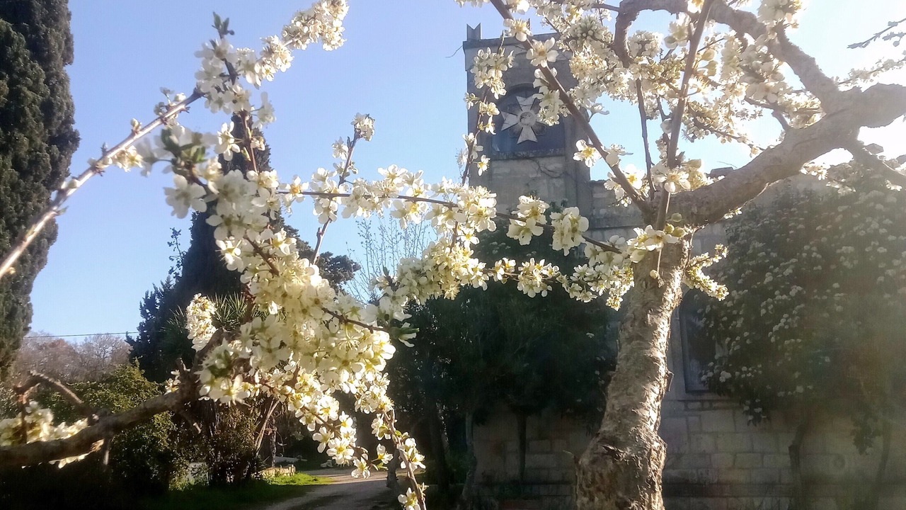 Photo of Outdoor in The Trulli of Alberobello