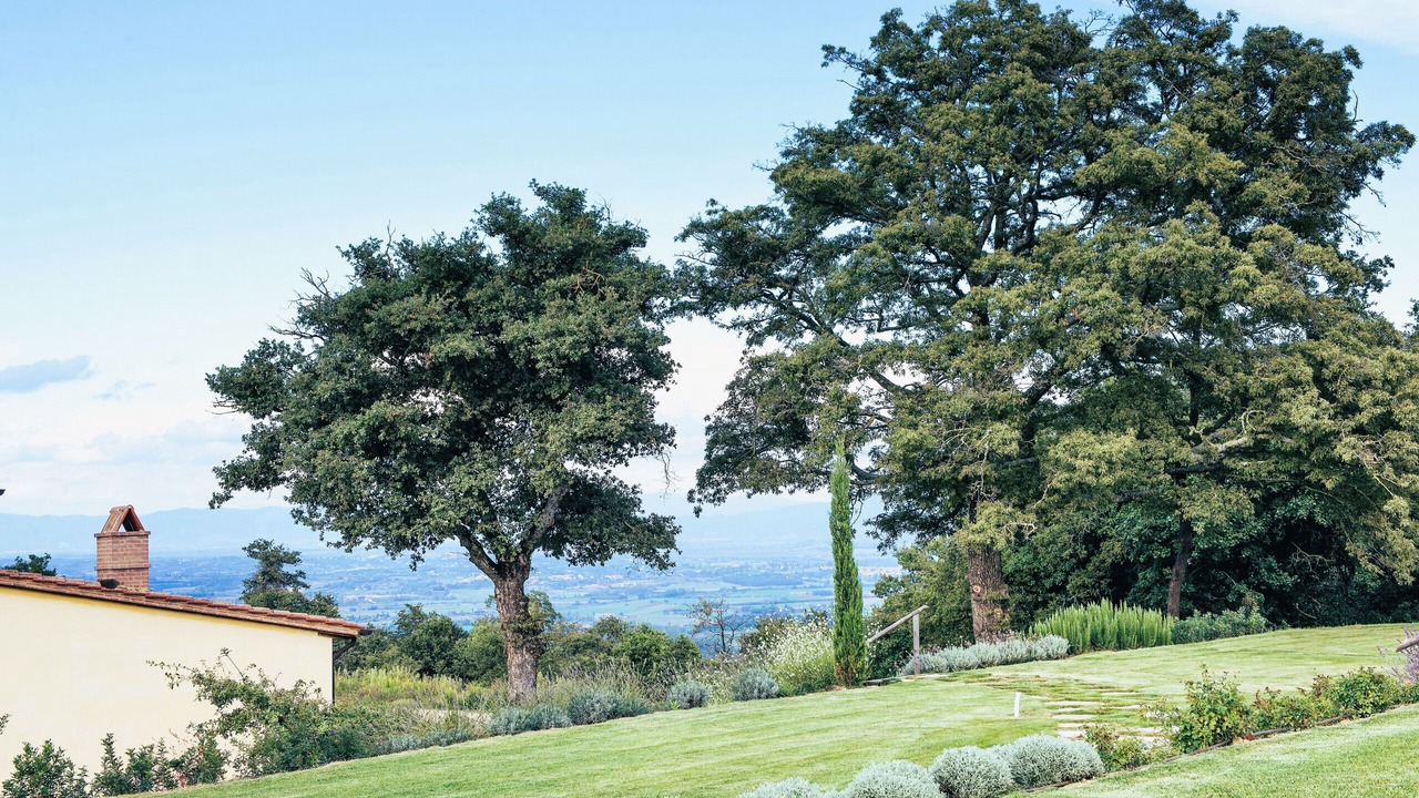 Photo of Outdoor in Trequanda