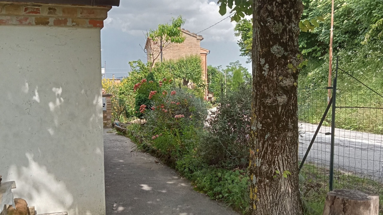 Photo of Outdoor in SantʼAngelo in Pontano
