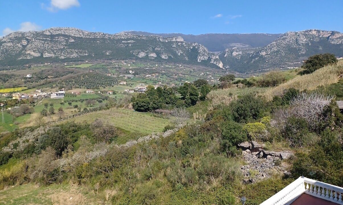 Photo of Others in Giungano