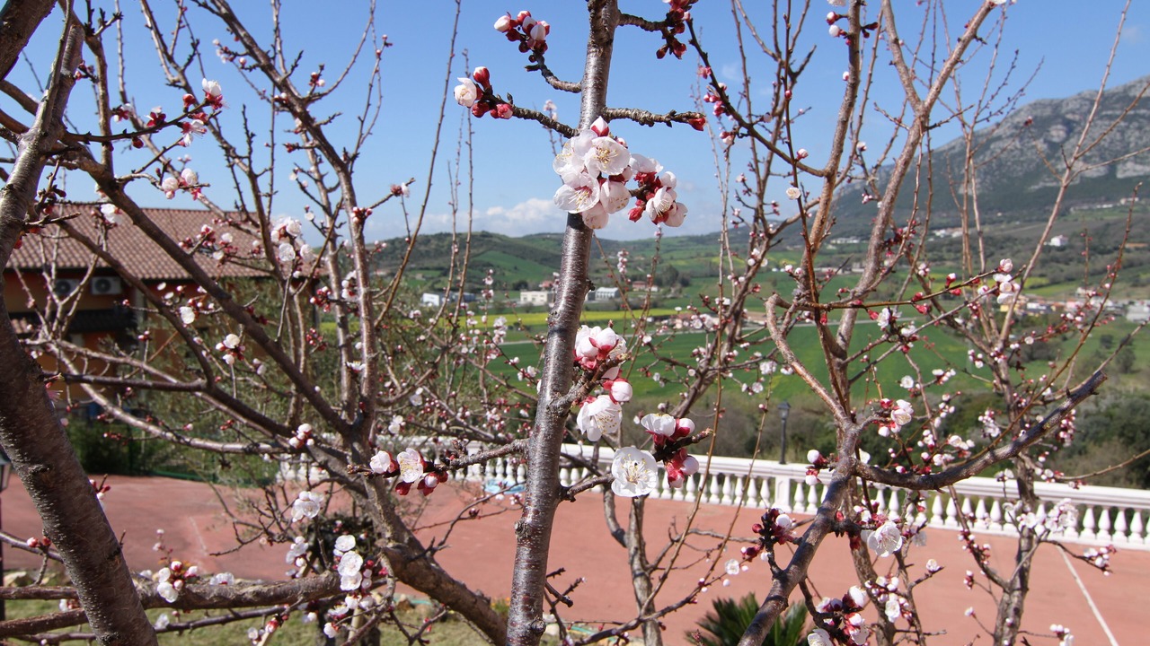 Photo of Outdoor in Giungano