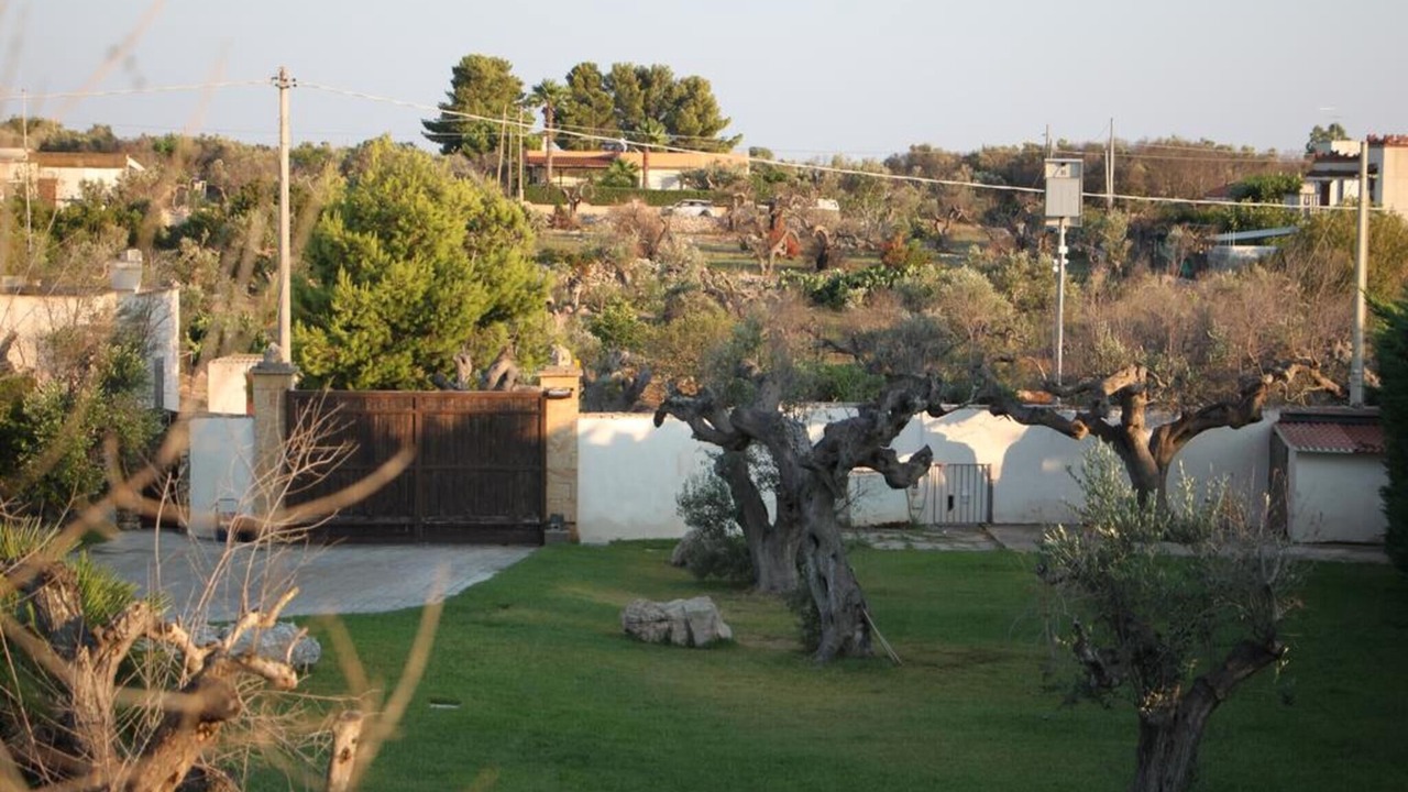 Photo of Outdoor in Racale