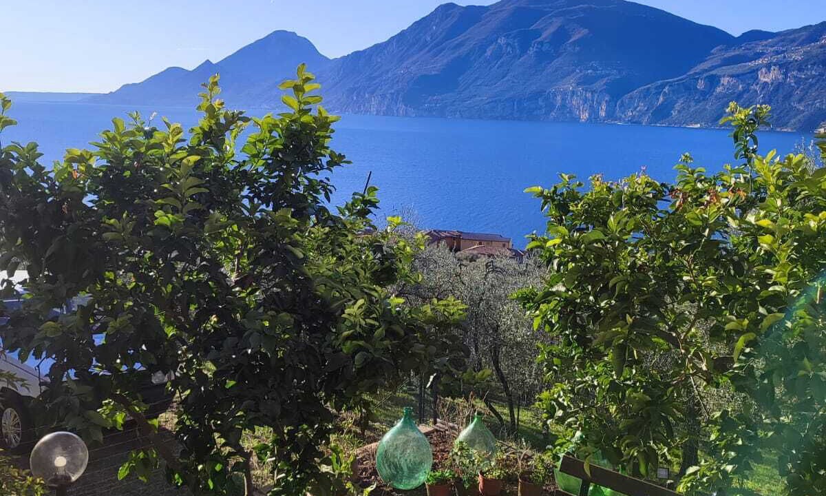 Photo of Outdoor in Assenza