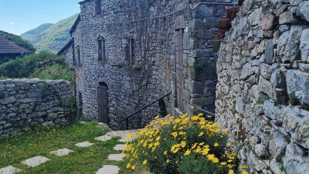Photo of Outdoor in Borzonasca