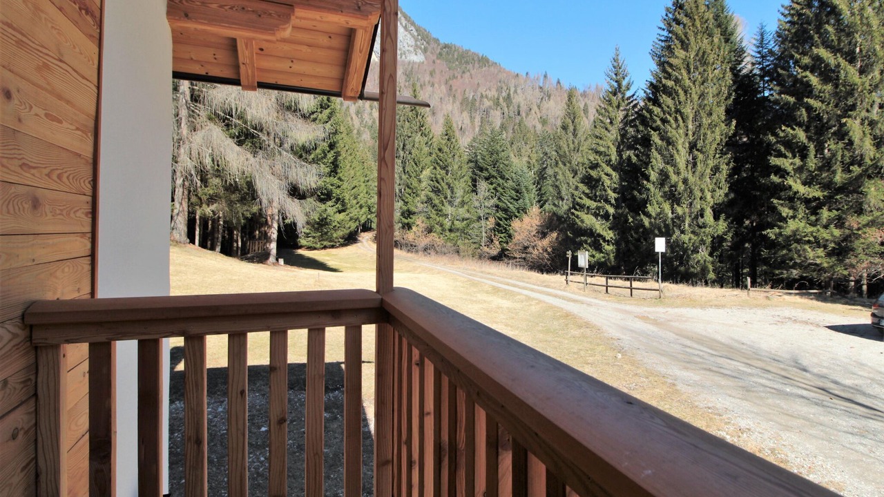 Photo of Others in Lozzo di Cadore