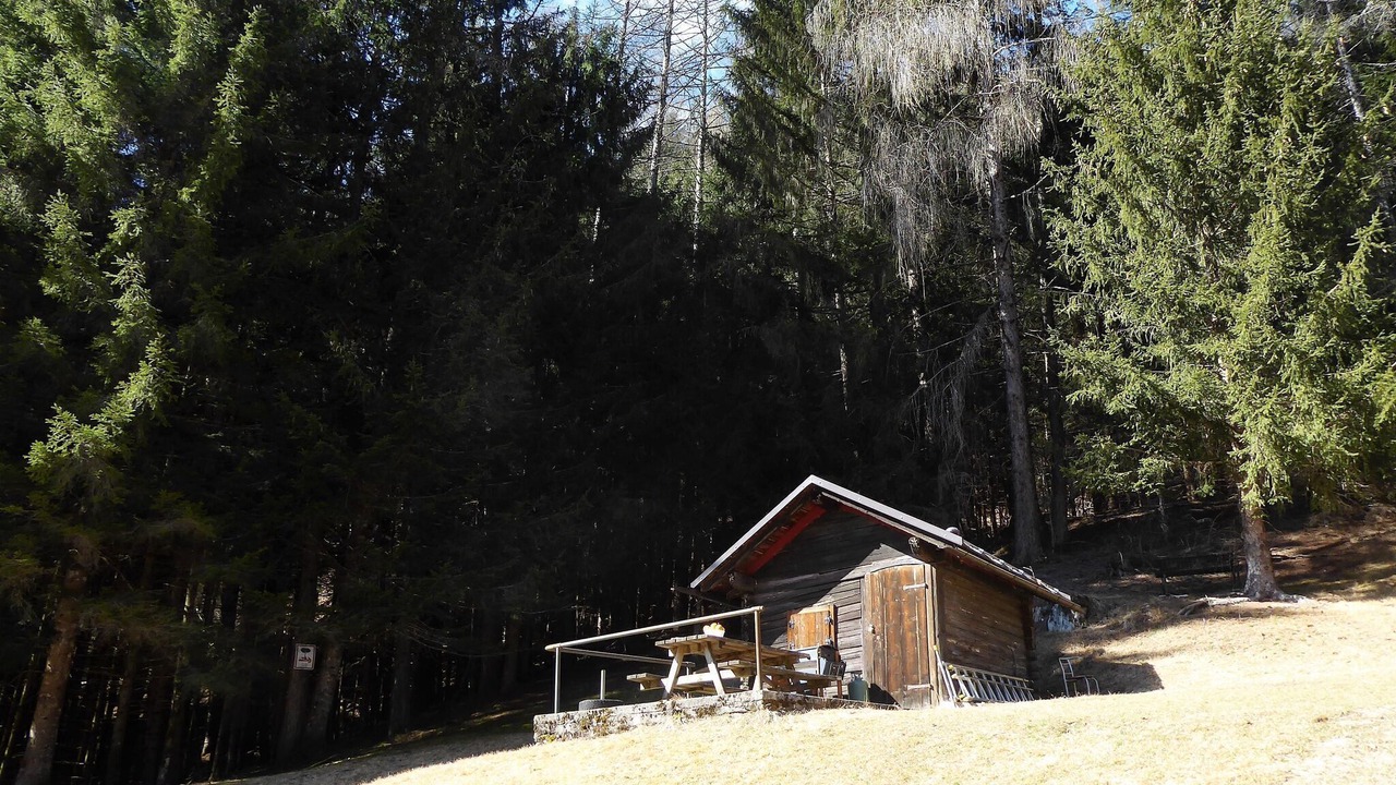 Photo of Outdoor in Lozzo di Cadore