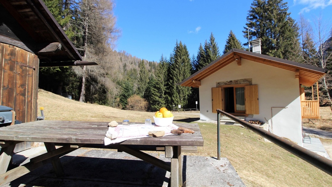 Photo of Outdoor in Lozzo di Cadore