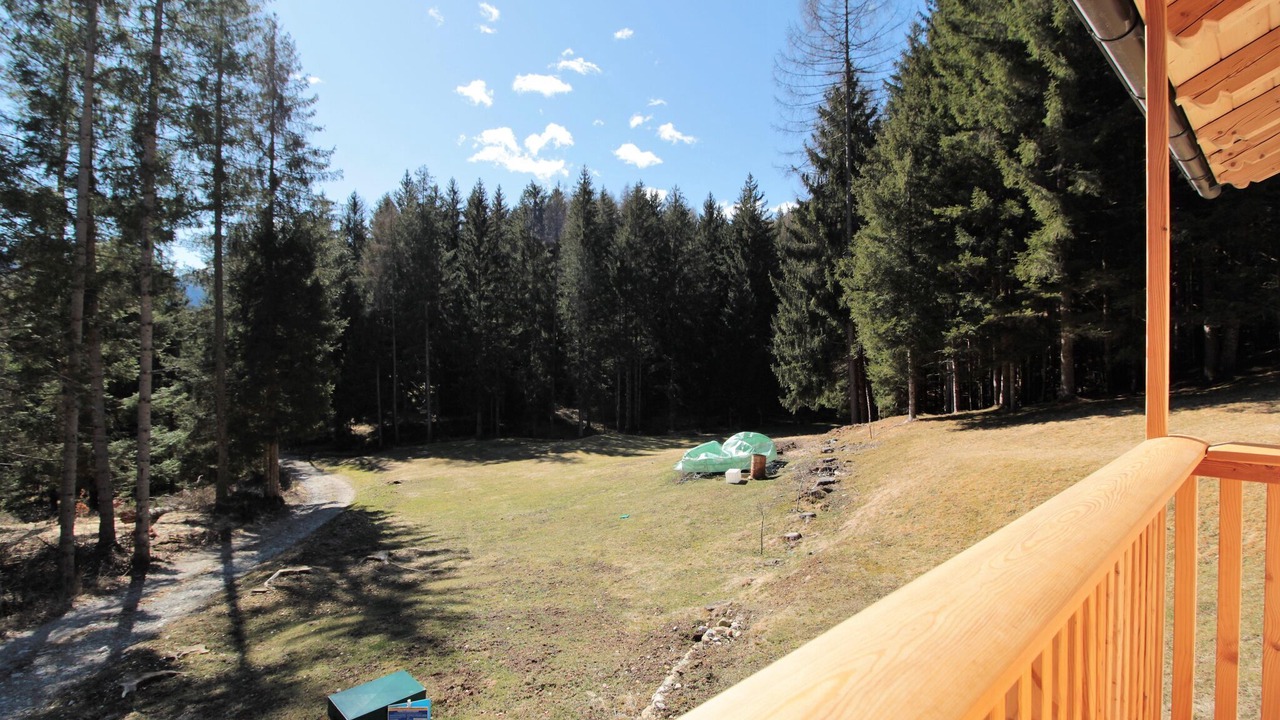 Photo of Others in Lozzo di Cadore