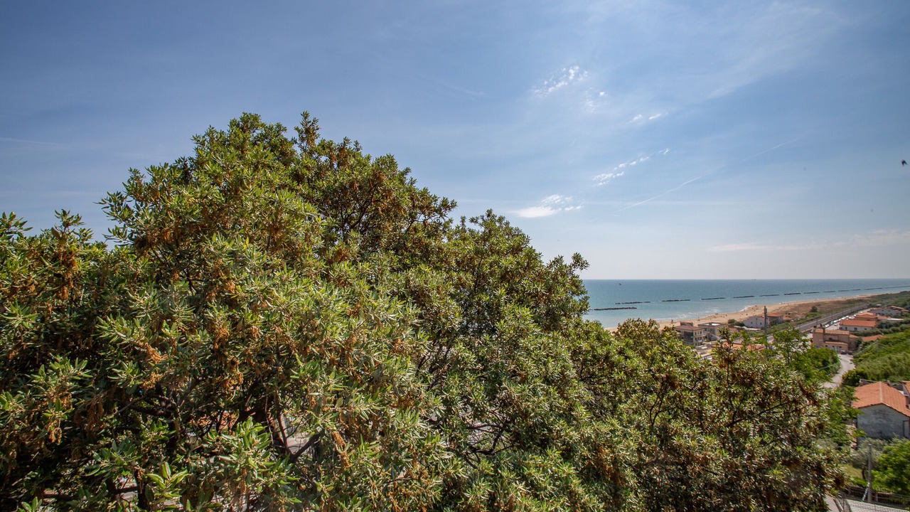Photo of Outdoor in Ortona