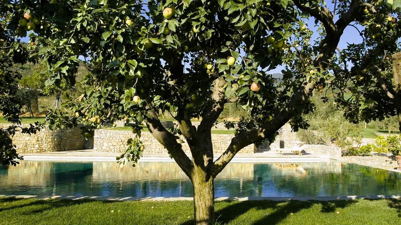 Photo of Outdoor in Pian di Sco