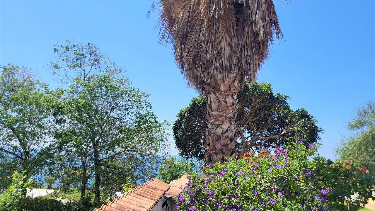 Photo of Outdoor in Joppolo