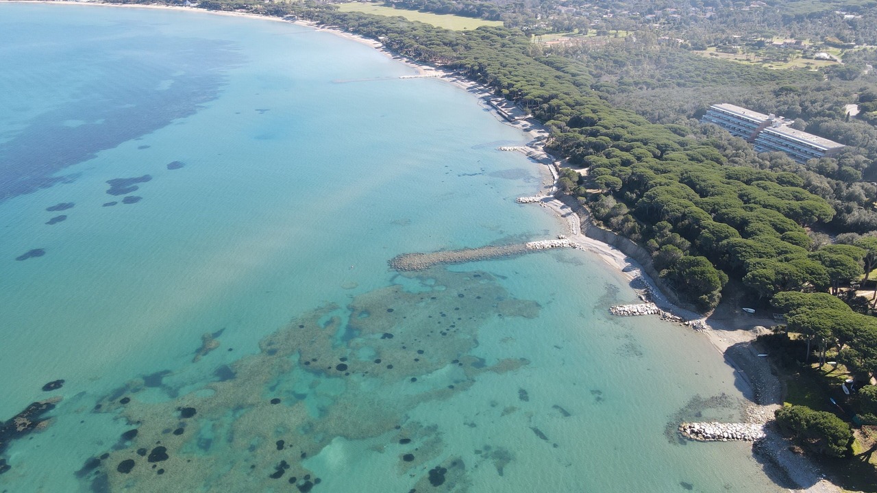 Photo of Others in Punta Ala