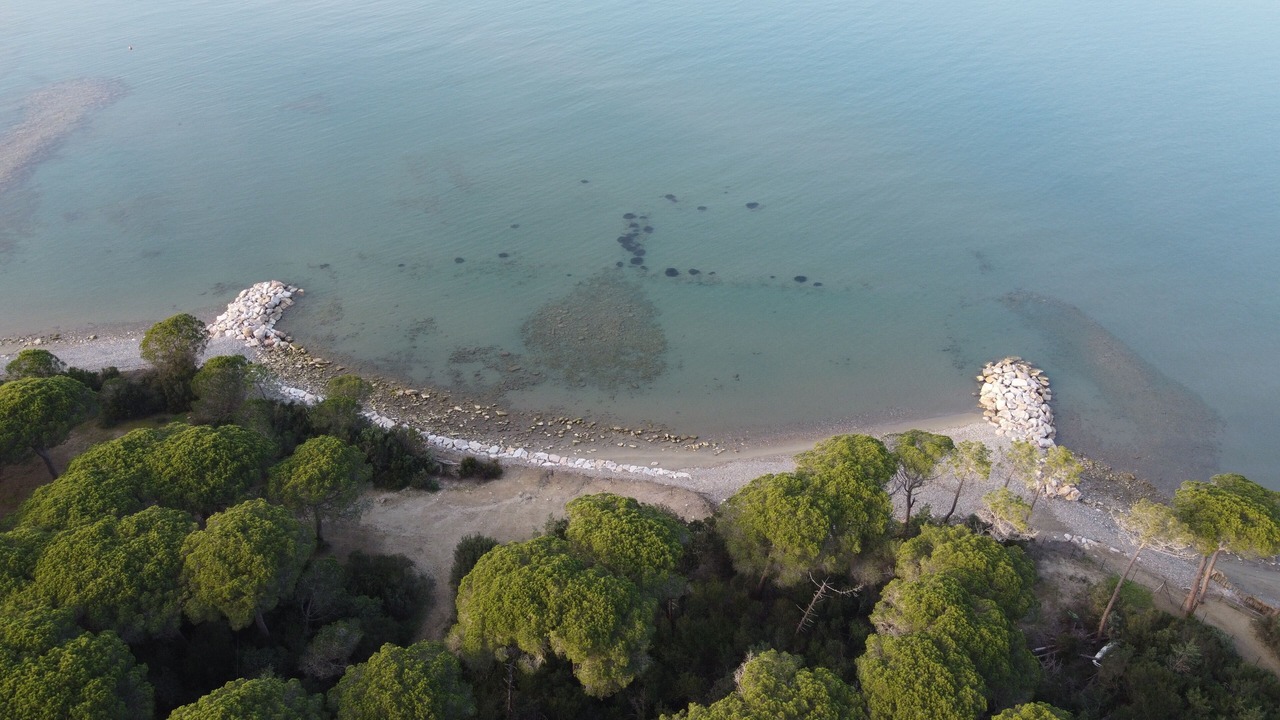 Photo of Others in Punta Ala